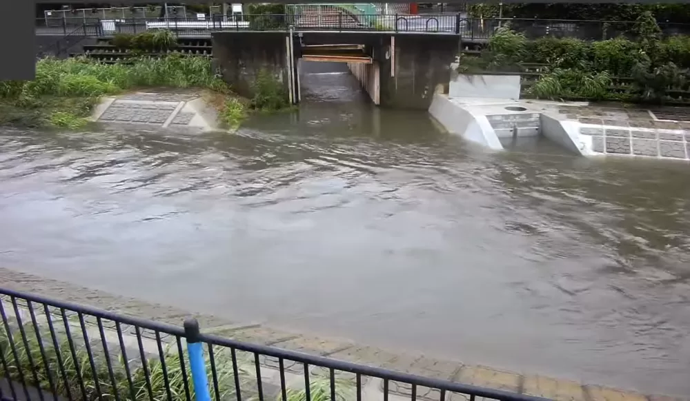 【動画】野川ライブカメラ氾濫危険水位｜浸水冠水現在の状況・様子まとめ