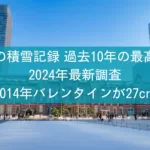 東京の積雪記録｜過去10年の最高は？2024年最新調査2014年バレンタインが27cm